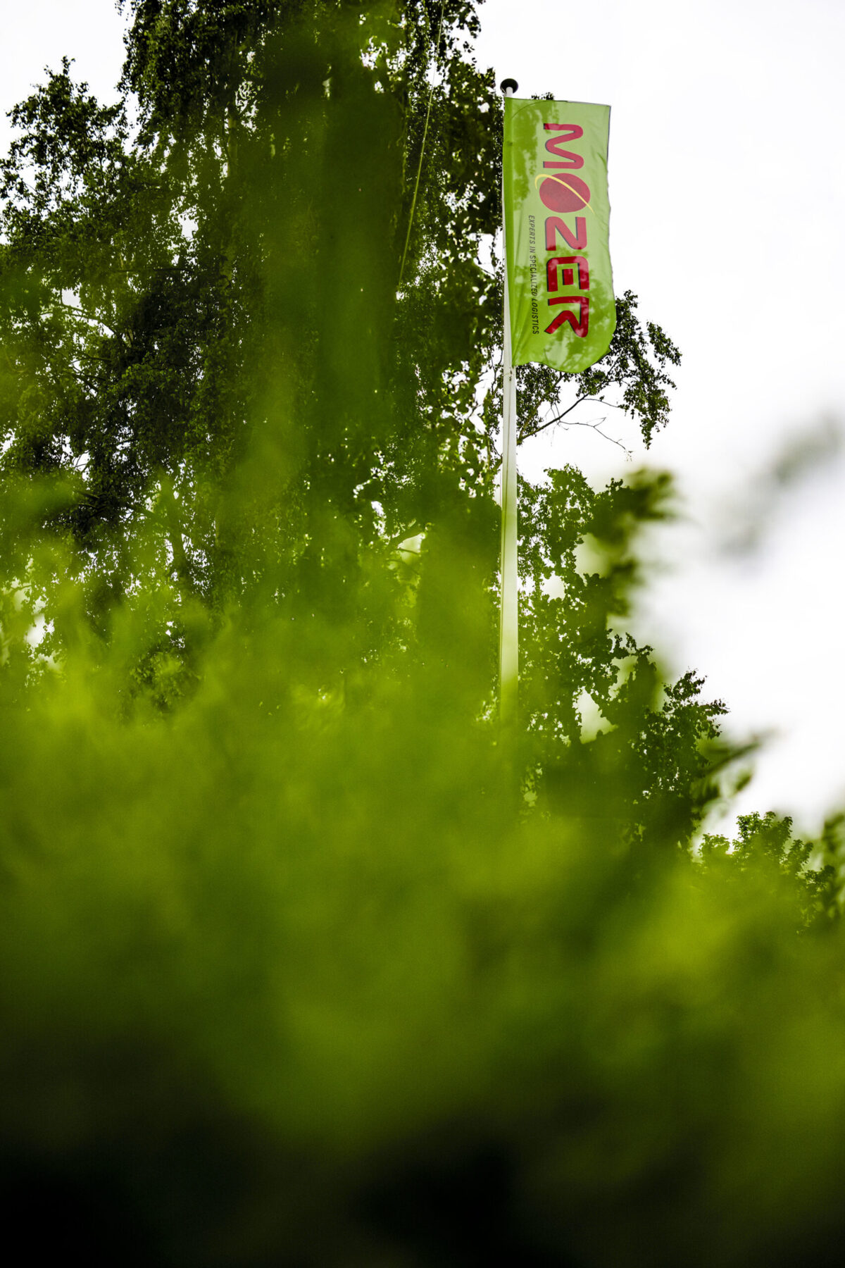 Image d’illustration de notre politique de responsabilité sociétale